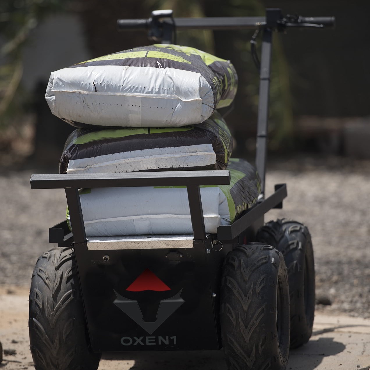 Oxen1 cart loaded with feed sacks