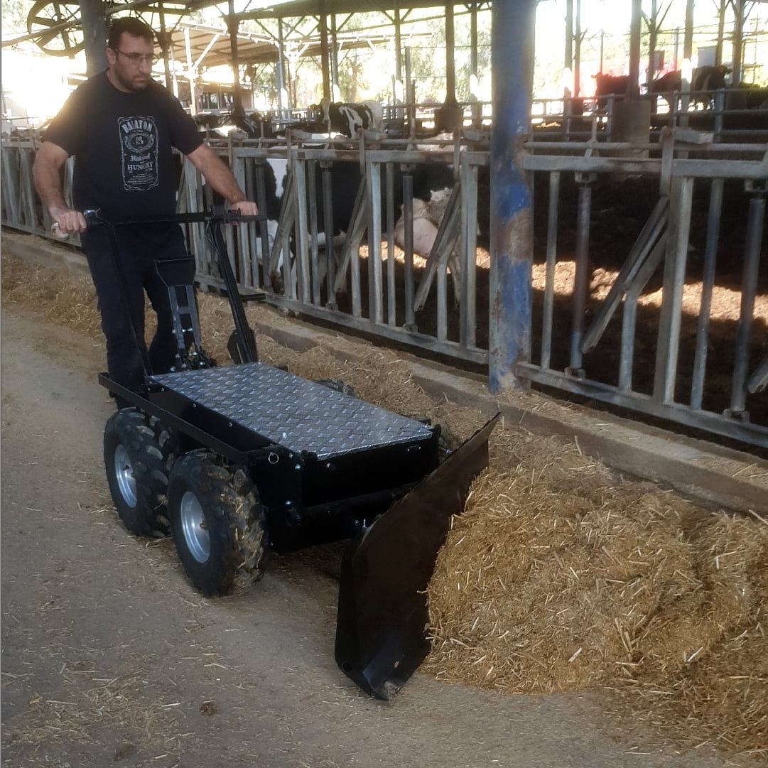 Oxen1 cart clearing bedding in a cow shed