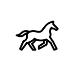 Equestrian